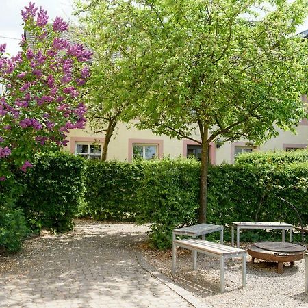 Nengshof Ferienwohnungen Mohnblume Und Kornblume Wißmannsdorf Dış mekan fotoğraf