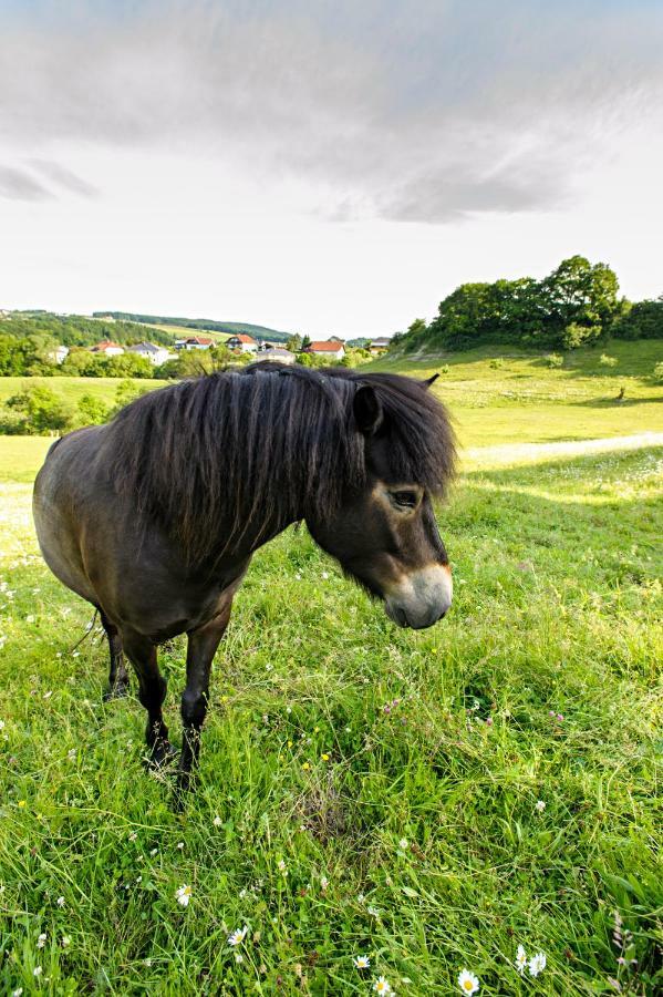 Nengshof Ferienwohnungen Mohnblume Und Kornblume Wißmannsdorf Dış mekan fotoğraf