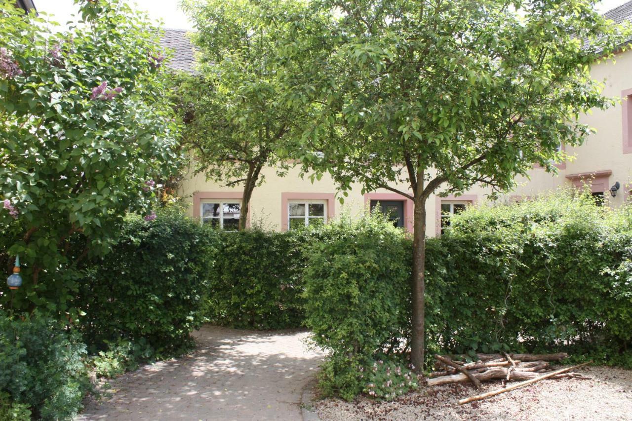 Nengshof Ferienwohnungen Mohnblume Und Kornblume Wißmannsdorf Dış mekan fotoğraf